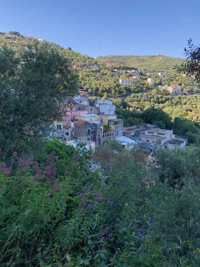 Petit Maison Jeranto Nerano Luaran gambar